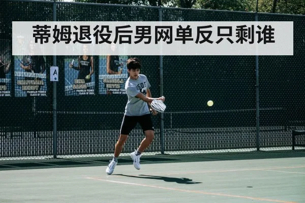 蒂姆退役后男网单反只剩谁
